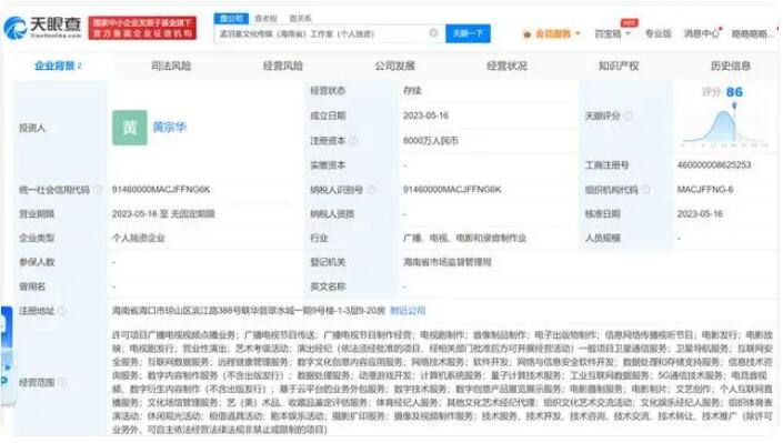 子公司组织架构Wo星空体育- 星空体育官